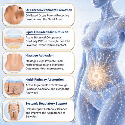 Pureluxo® 🎉 Metabolism Navel Drops